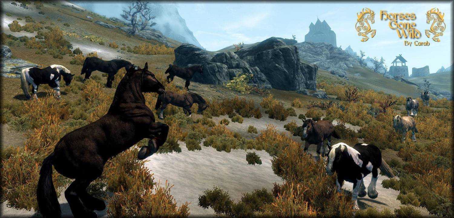 Лучшие игры про животных на пк – список красивых игр про животный мир