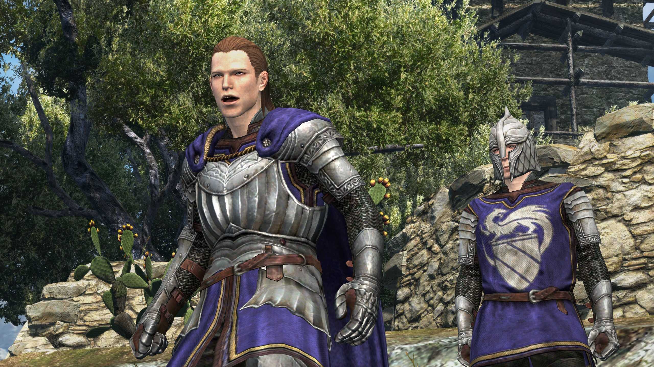 Догма дракона интернет -dragon's dogma online
