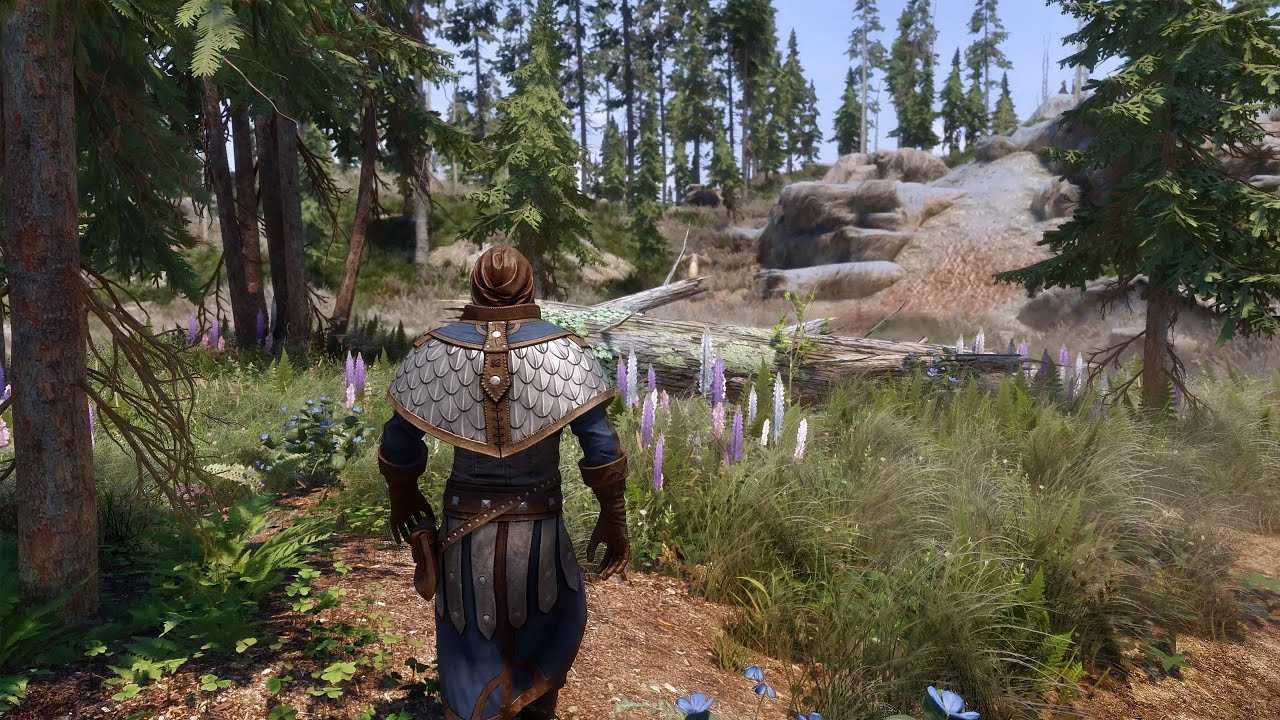 Skyrim special edition получила высококачественные текстуры для ландшафтов