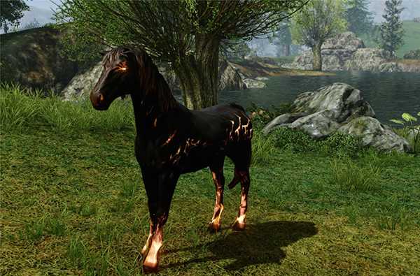 Как получить лошадь в archeage