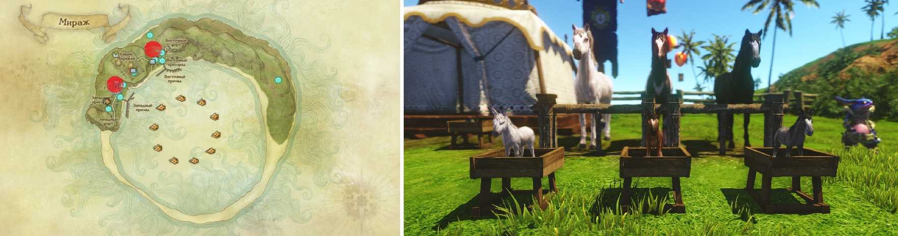 Как вырастить дракона в archeage — полный гайд