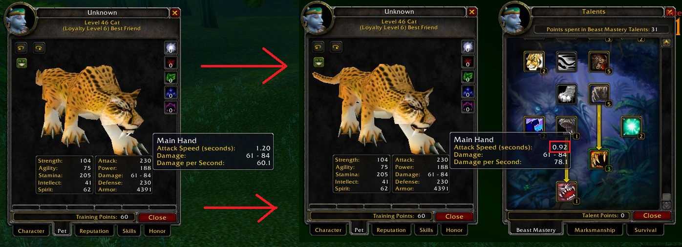 Как начать битву питомцев в wow