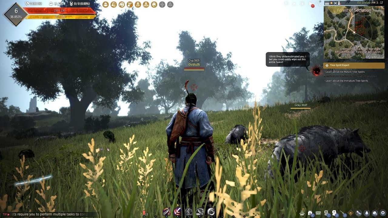 21 полезный совет новичку в black desert
