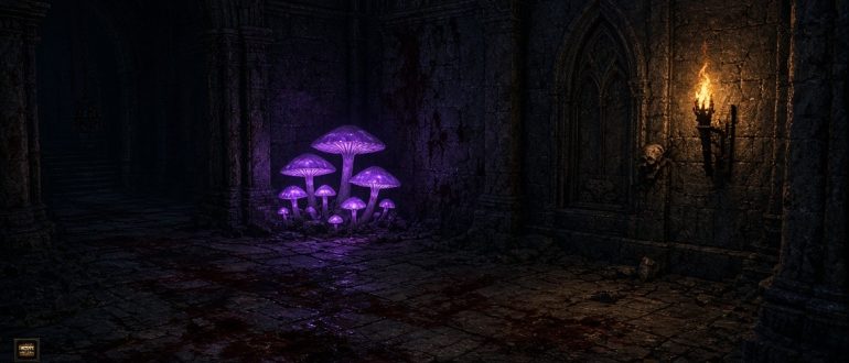 Черный гриб в Diablo 3: где найти и как быстро фармить