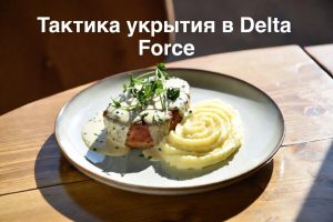 Тактика укрытий в Delta Force