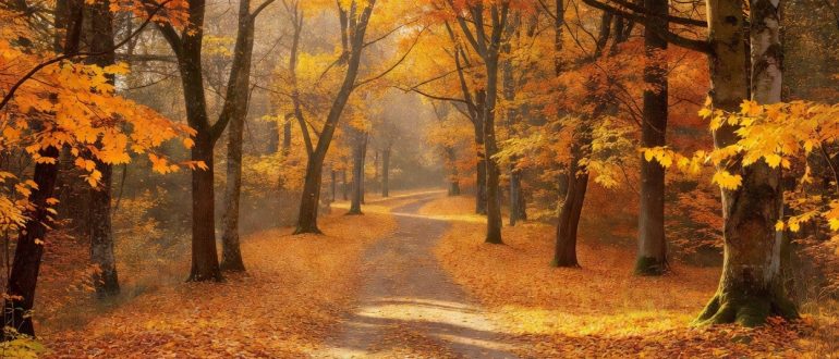Ведьмак 3: все постельные сцены — полный гид по романам Геральта