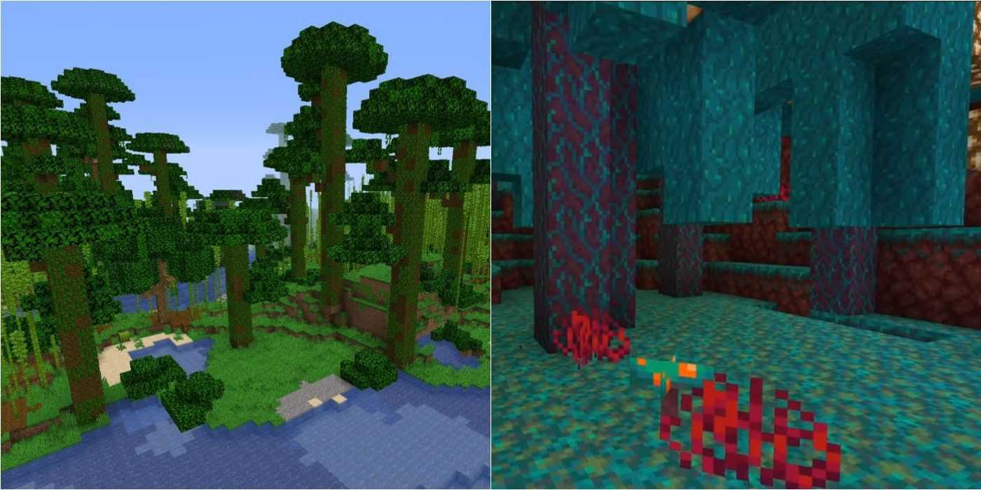Лучшие сиды для minecraft 1.16.1 и 1.15.2 - iceforge.ru