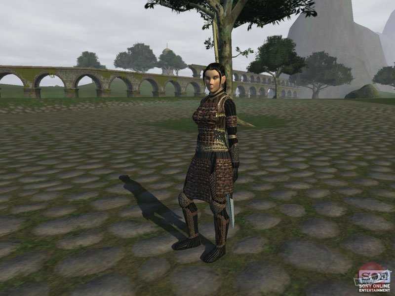 О русификации англоязычного клиента — энциклопедия everquest ii