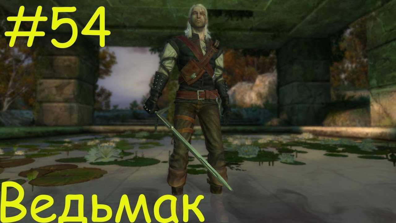 Ведьмак что подарить владычице озера