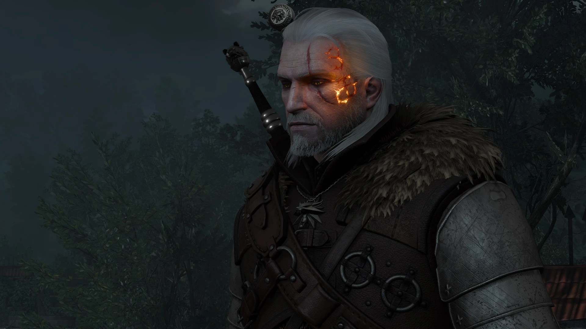 The witcher 3 как установить моды фото 42