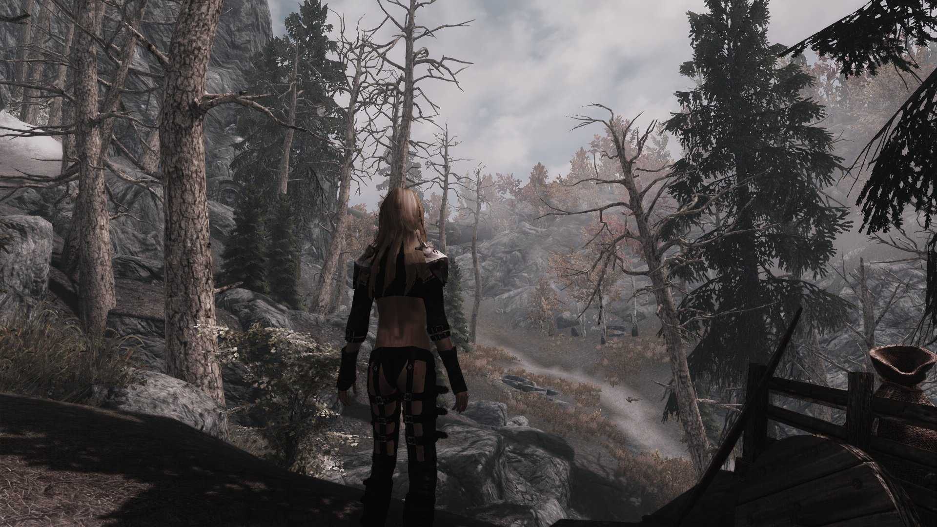 Skyrim: 10 лучших модов, включенных в юбилейное издание - guideer.ru