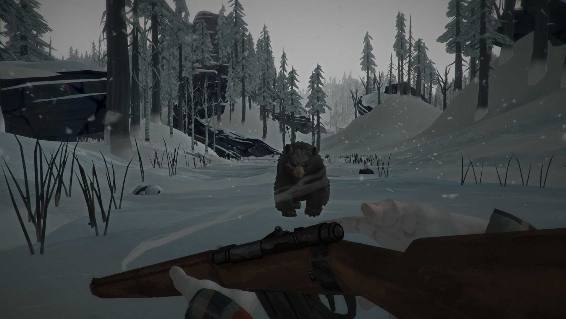 The long dark