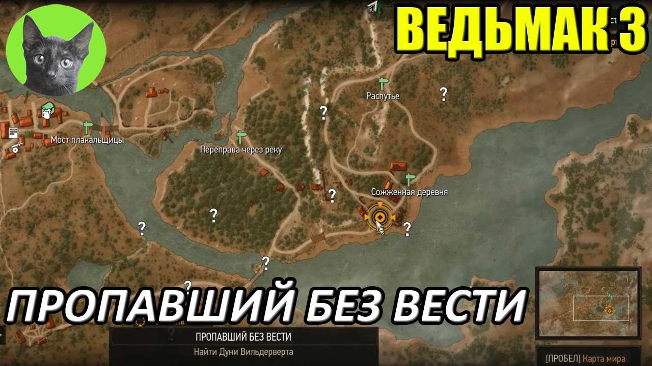 В тени вечного огня в ведьмаке 3: как начать и спасти жреца