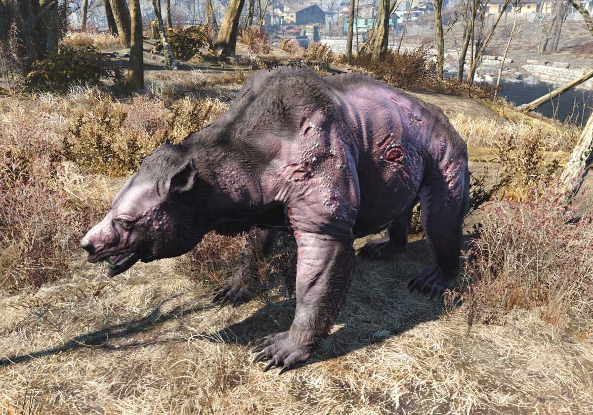 Fallout 76 как съесть дикого гуля