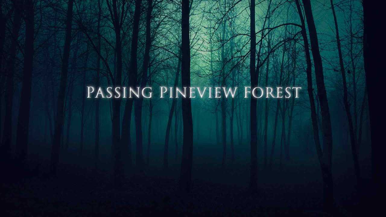 Sons of the forest: как сбежать с острова | руководство по концовке