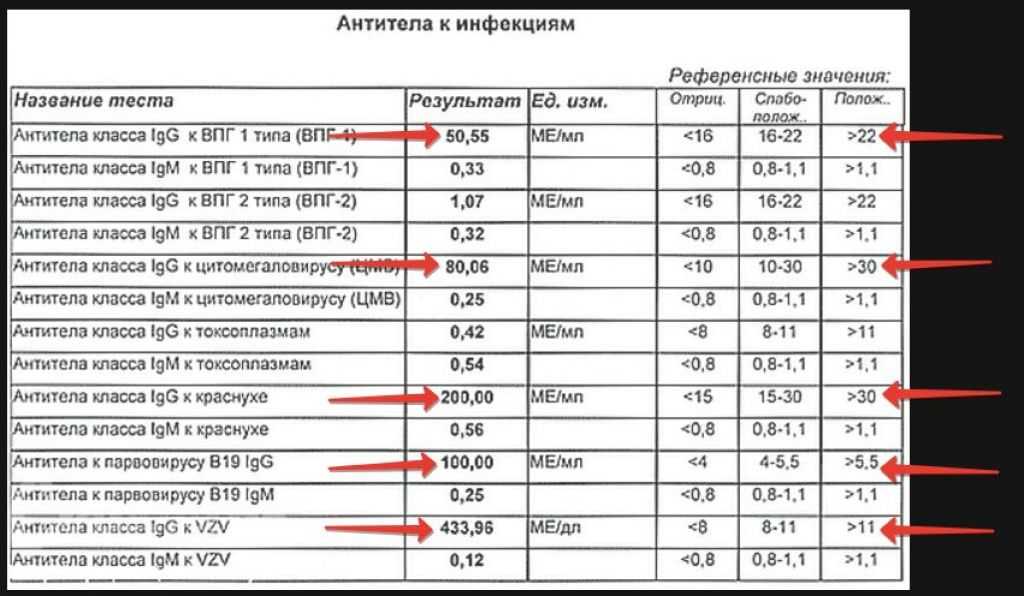 IGG Inc – одна из крупнейших американских компаний-издателей и разработчиков браузерных и мобильных ММО, которые локализованы в странах по всему свету