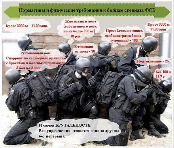 Надеть на себя форму сотрудника полиции, спецназовца или агента разведки можно в огромном количестве игр – а вот про таможенников список небольшой, но