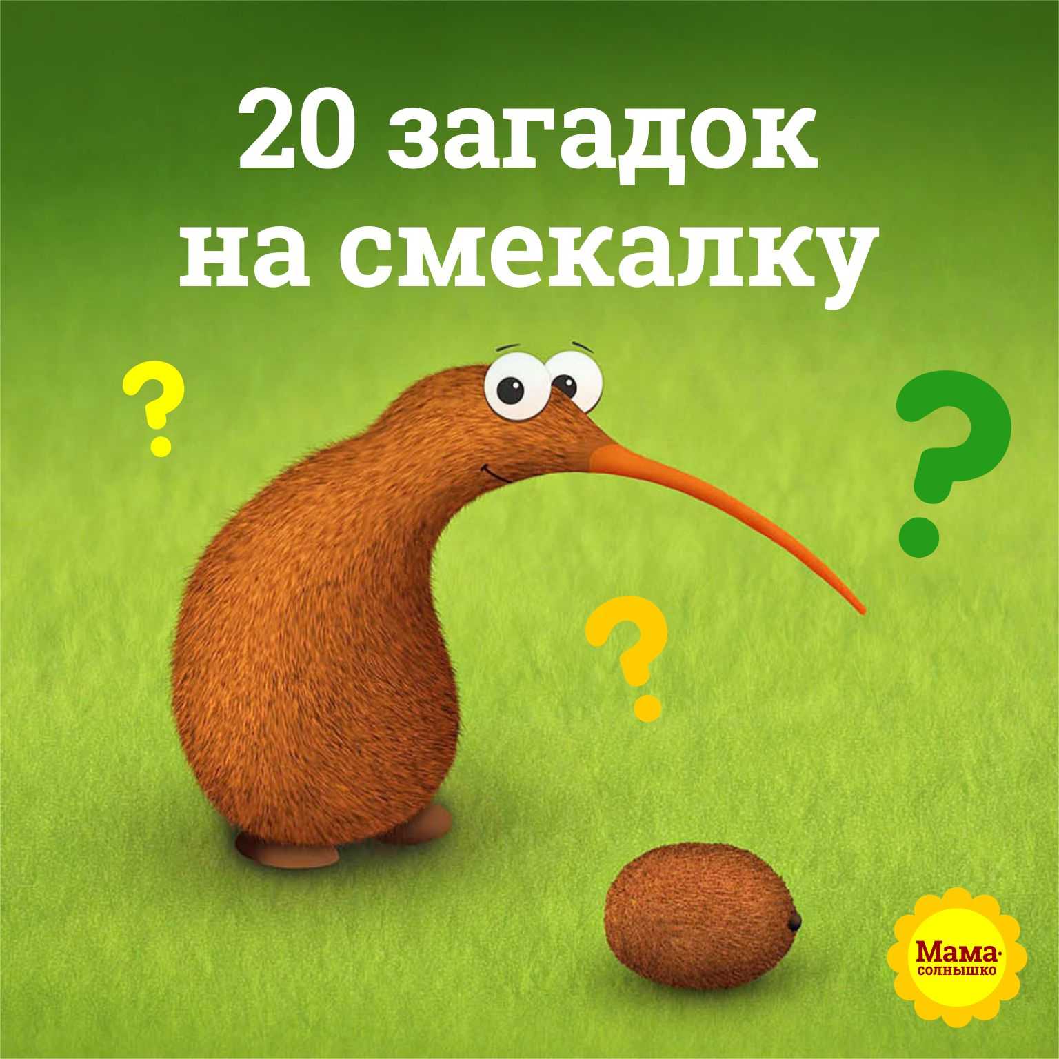 Смешные логические загадки с подвохом