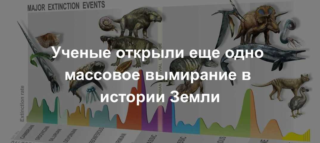 Почему the last of us part 2 - это катастрофа: главные ошибки в истории naughty dog - cadelta.ru