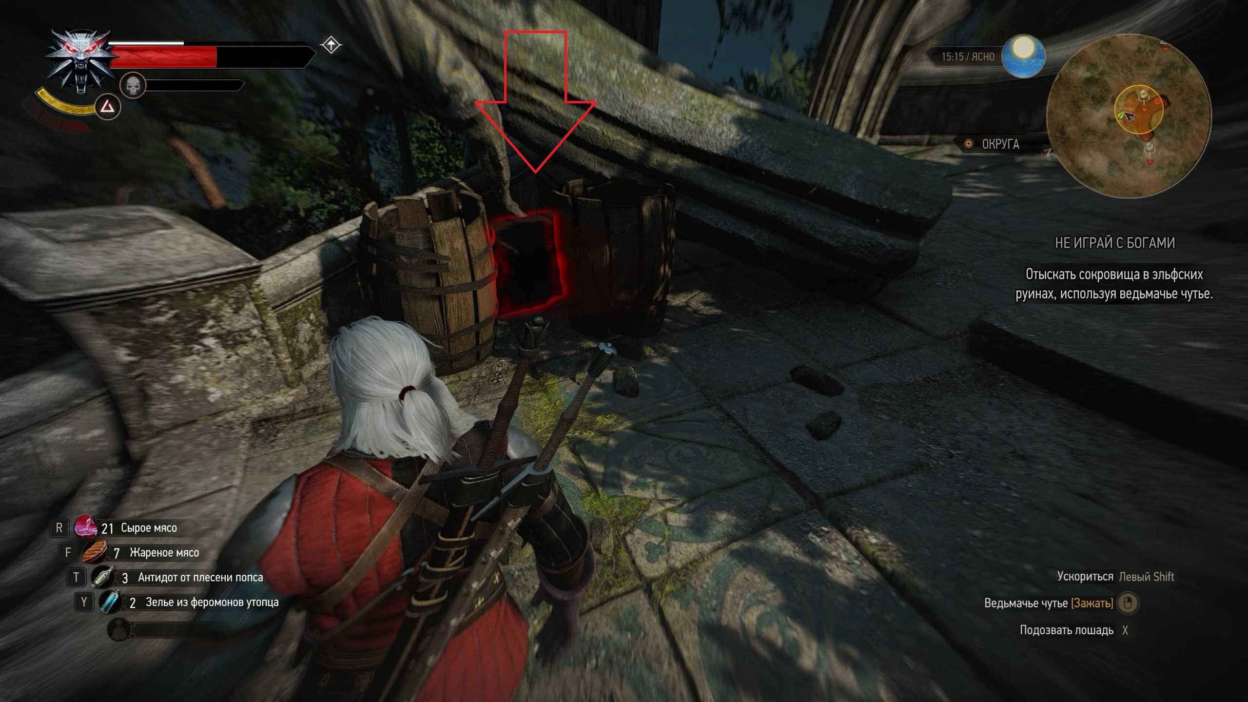 The witcher 3: wild hunt