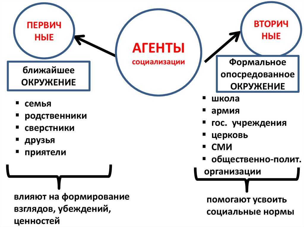 Бартлская таксономия типов игроков