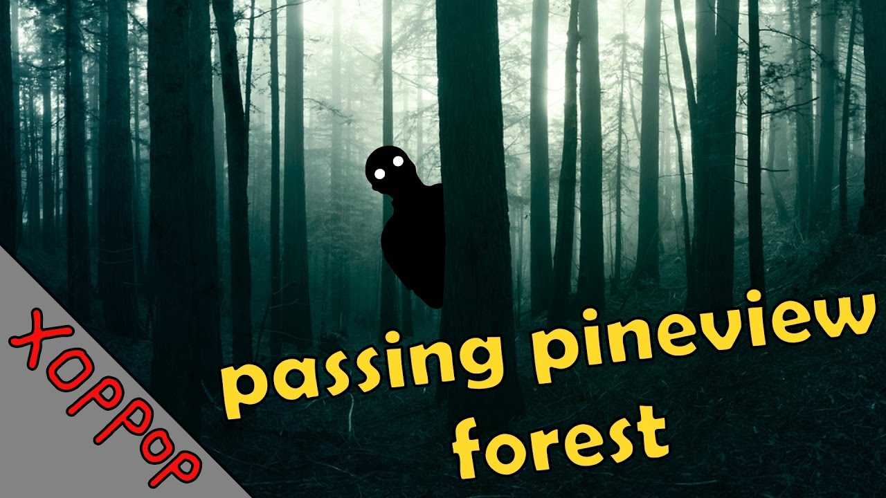 Passing pineview forest прохождение