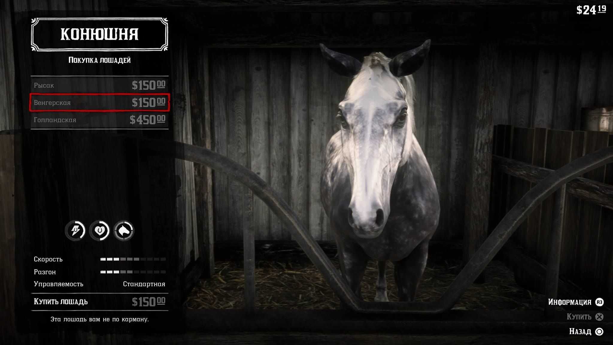 Руководство по лошадям в red dead online: какие породы лучшие