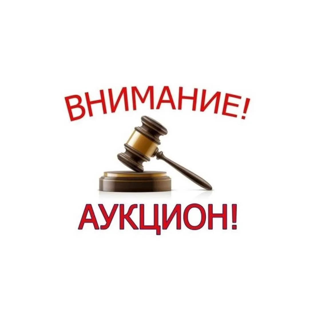 Чем отличается конкурс от аукциона