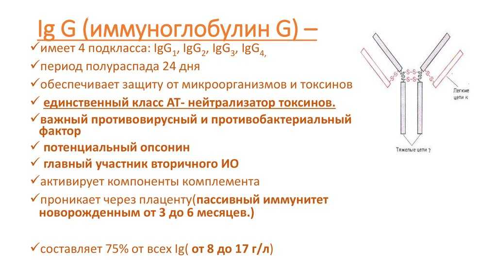 Топ-25 крупнейших издателей видеоигр в мире