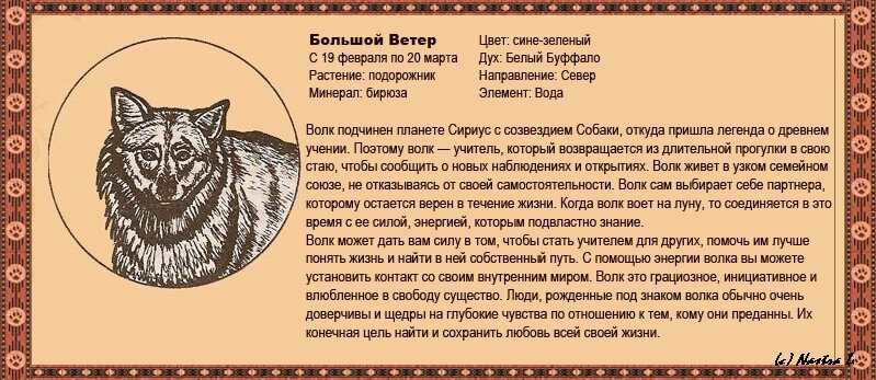 Животные как древние символы | что значат медведь, волк, кошка
