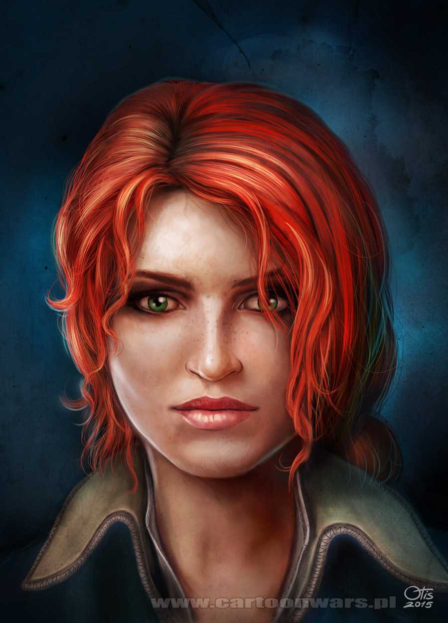 Книжная трисс меригольд - witchergid