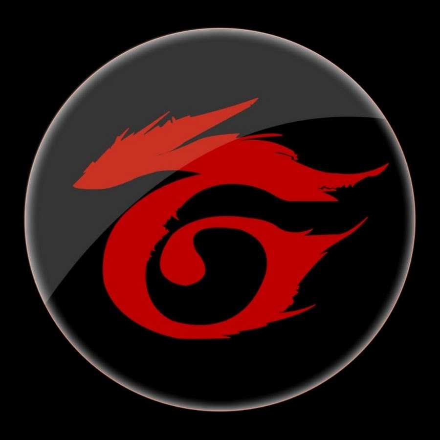 Garena что это за программа