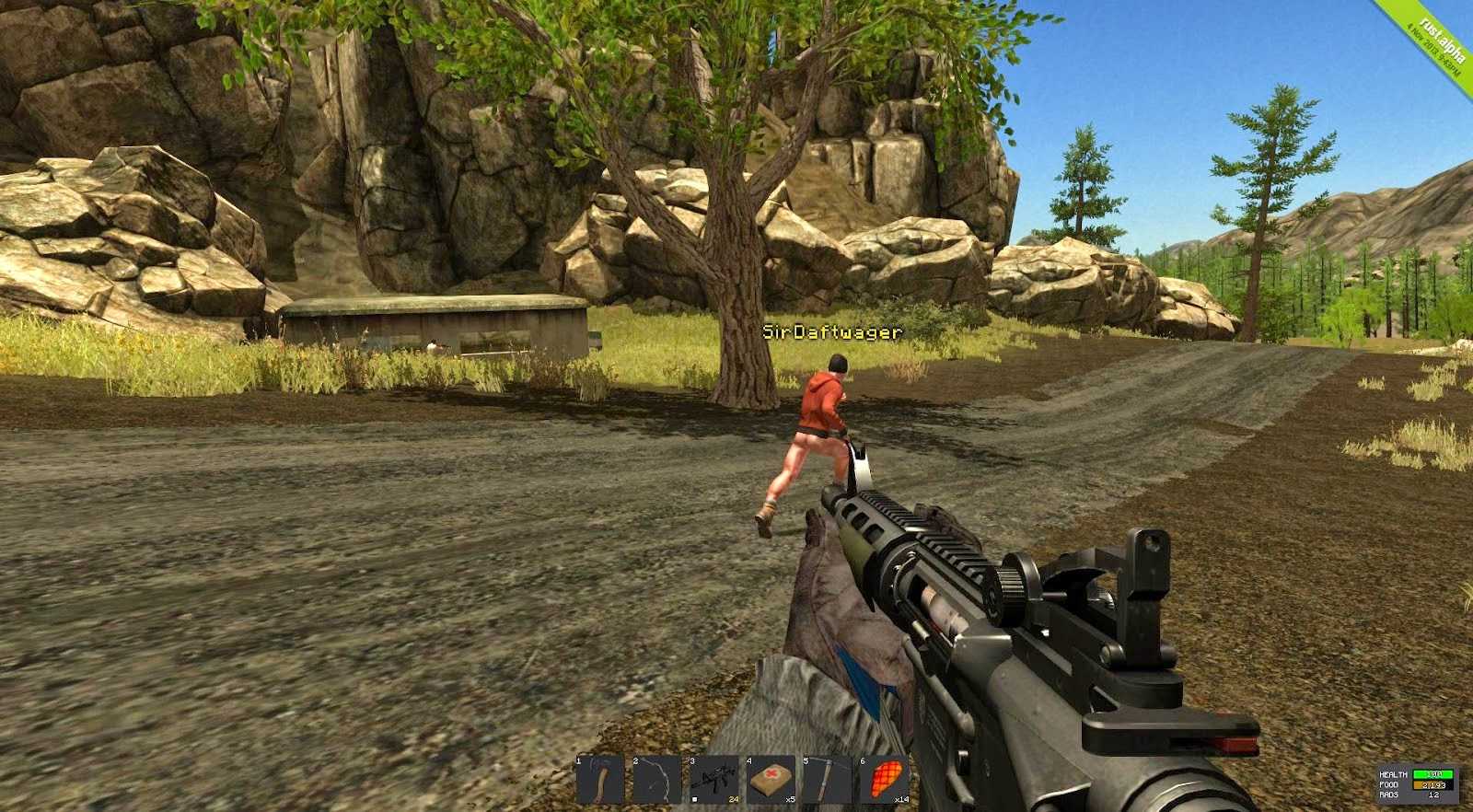 Dayz