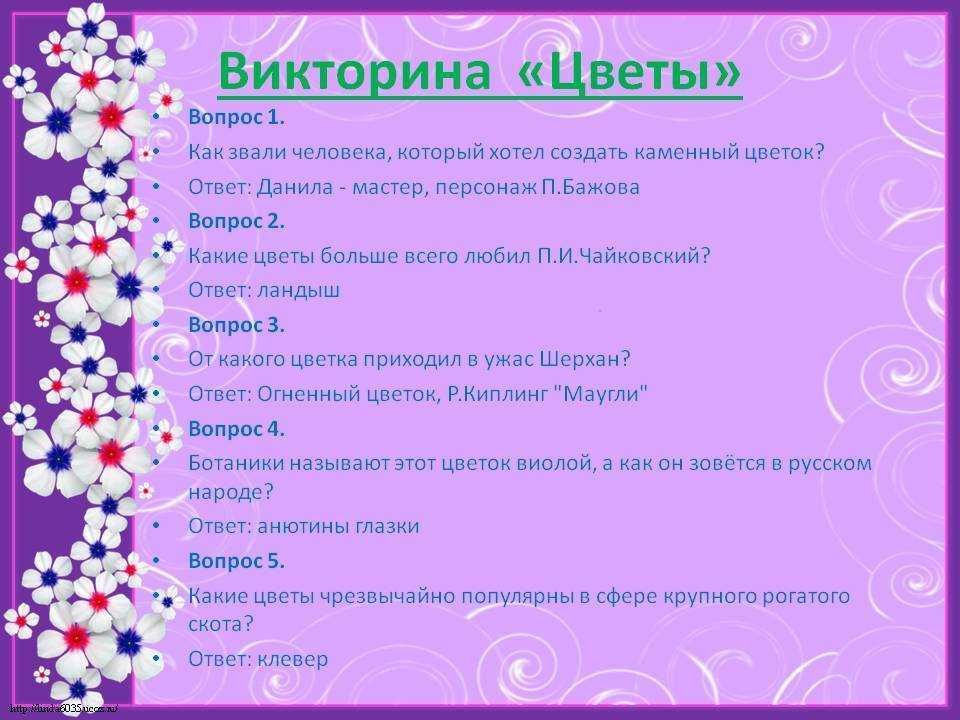 Киноман — викторина из социальной сети вконтакте