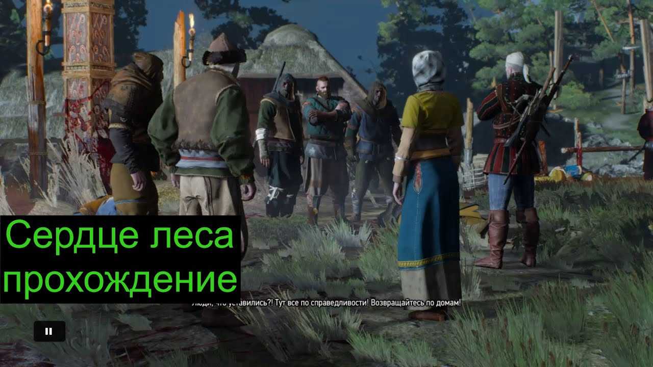 Ведьмак 3: прохождение задания “враг народа” – кому отдать кристалл