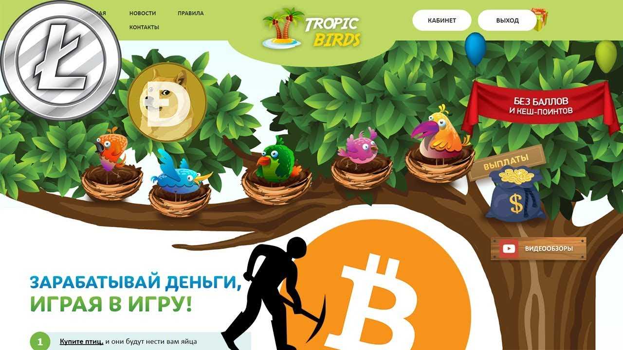 World of farmer - лучшая ферма с заработком реальных денег! world of farmer как заработать золотые монеты
