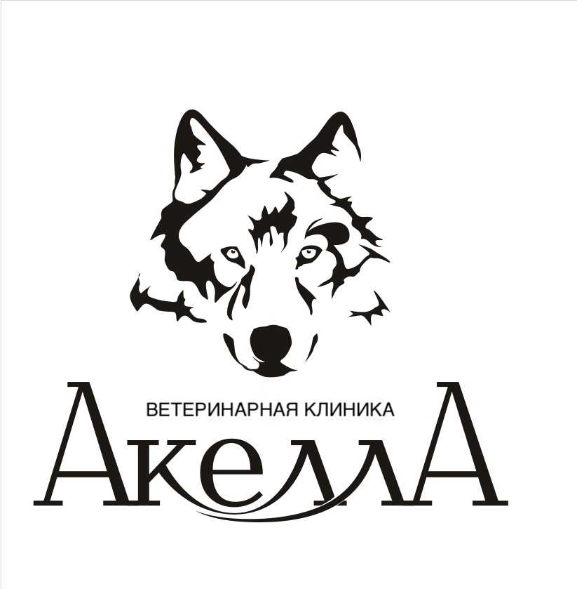 Акелла Онлайн – подразделение одиозного российского издательства Акелла, ориентированное на локализацию зарубежных многопользовательских игр