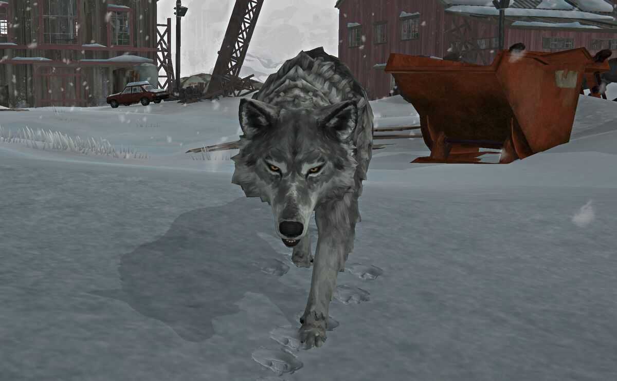 Как победить волка в игре the long dark: подробное руководство