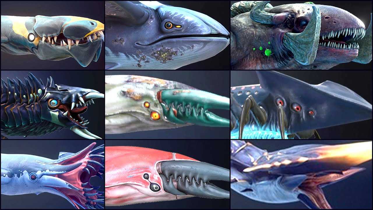 Subnautica: все агрессивные существа и как с ними бороться