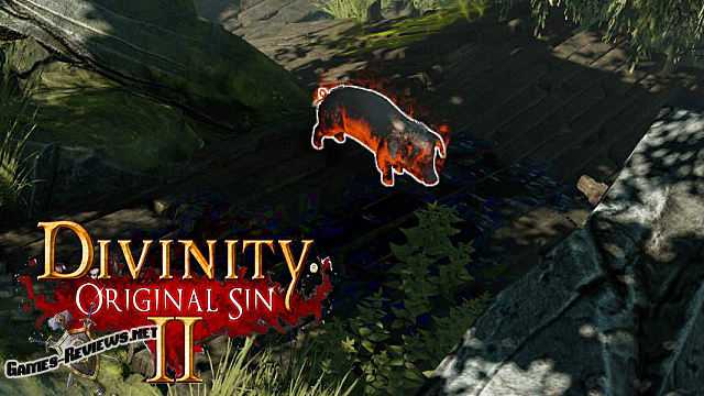 Divinity original sin 2 хигба как вывести