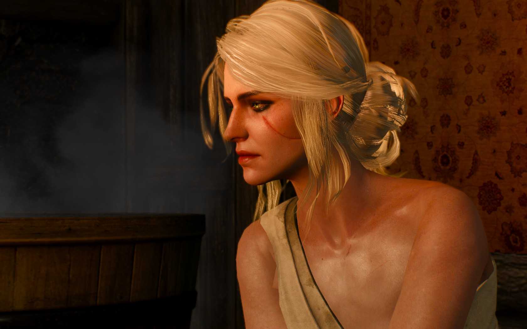 The witcher 3: wild hunt