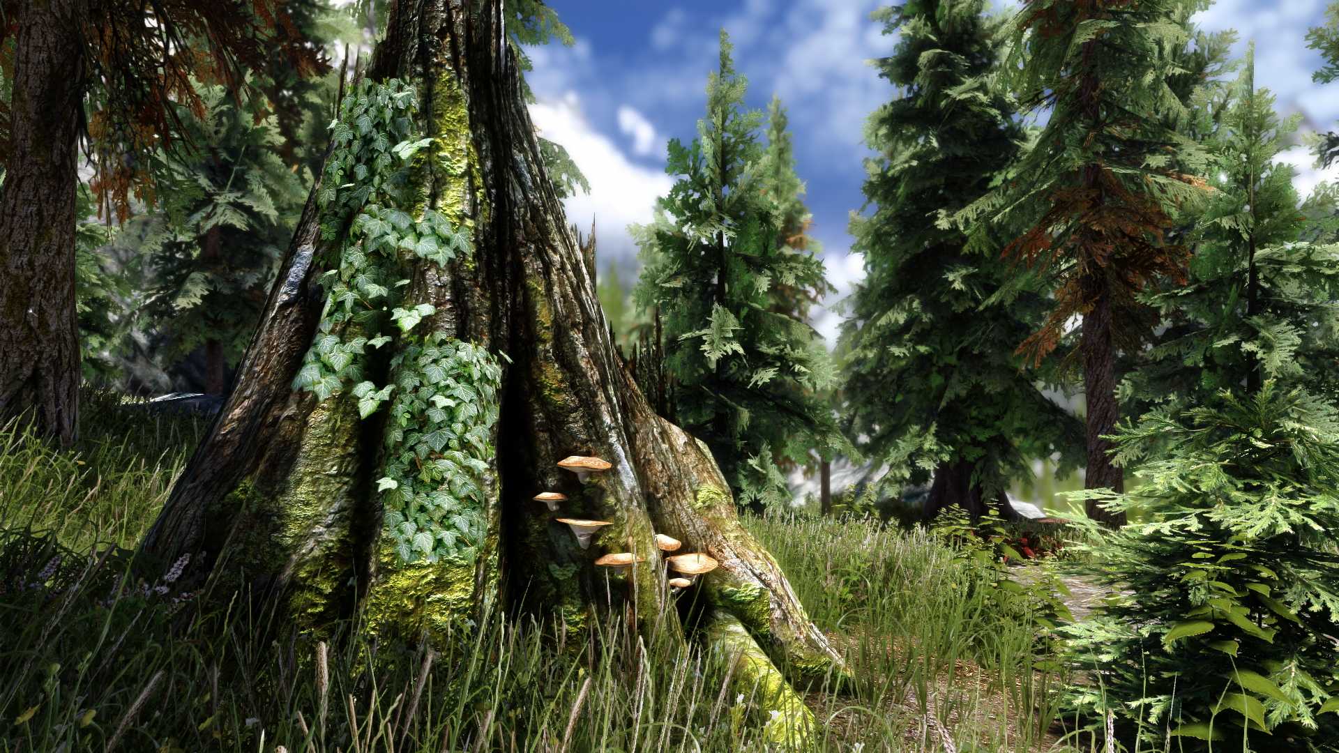 Skyrim special edition получила высококачественные текстуры для ландшафтов